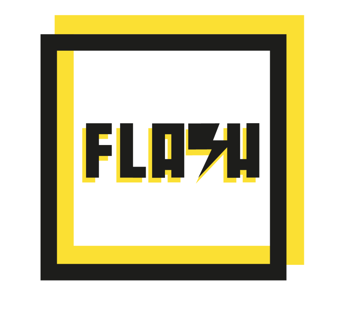 Flash logo