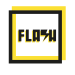 Flash logo