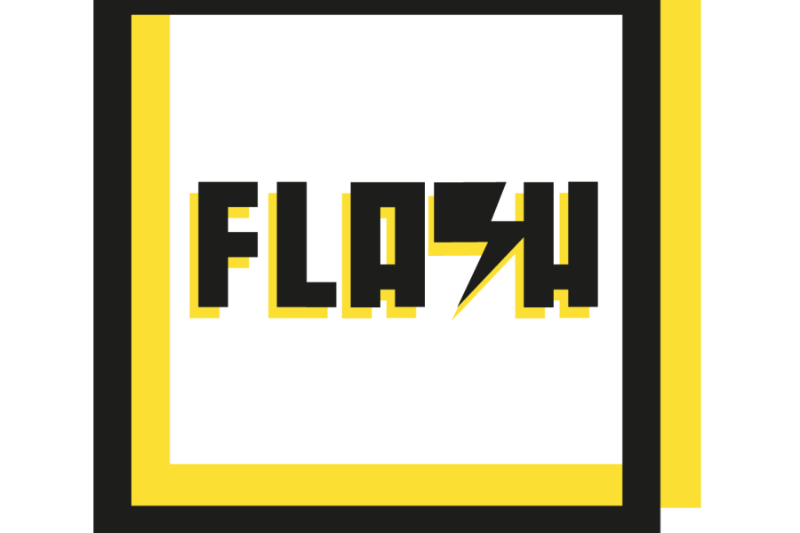 Flash logo