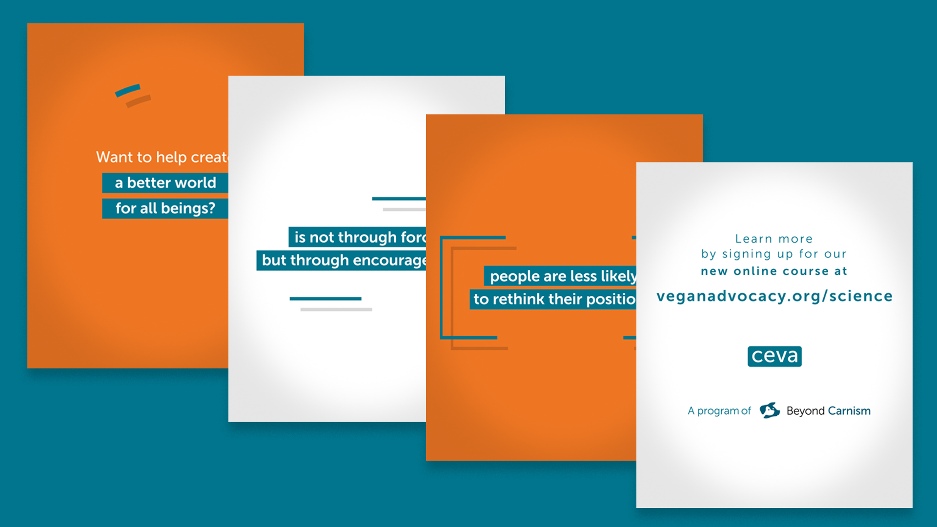 SOCIAL MEDIA MOTION GRAPHIC VIDEOS SEVA