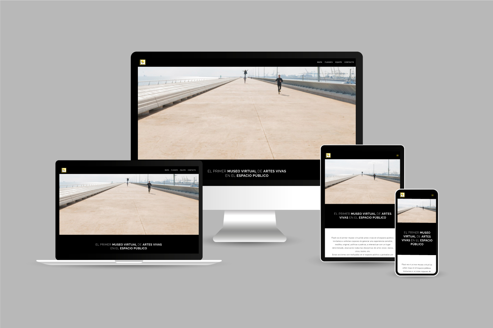 WEB DESIGN FLASH RESPONSIVE