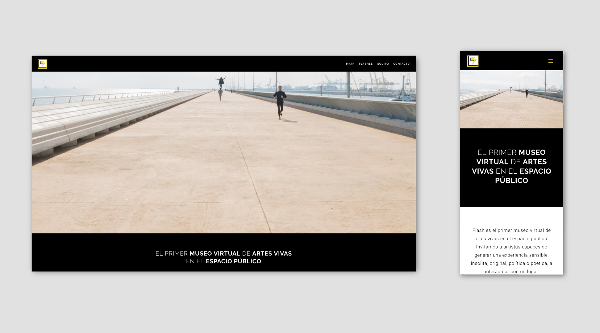 WEB DESIGN FLASH LANDING PAGE